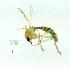  ( - gvc11268-1L)  @13 [ ] Copyright (2004) Unspecified Unspecified