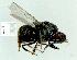  ( - gvc11273-1L)  @13 [ ] Copyright (2004) Unspecified Unspecified