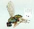  ( - gvc11275-1L)  @12 [ ] Copyright (2004) Unspecified Unspecified