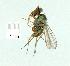  ( - gvc11279-1L)  @12 [ ] Copyright (2004) Unspecified Unspecified
