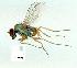  ( - gvc11285-1L)  @12 [ ] Copyright (2004) Unspecified Unspecified