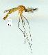  ( - gvc11862-1L)  @13 [ ] Copyright (2004) Unspecified Unspecified