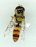  ( - gvc11864-1L)  @12 [ ] Copyright (2004) Unspecified Unspecified