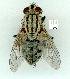  ( - gvc12013-1L)  @13 [ ] Copyright (2004) Unspecified Unspecified