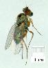  ( - gvc12075-1L)  @12 [ ] Copyright (2004) Unspecified Unspecified