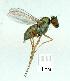  ( - gvc12090-1L)  @12 [ ] Copyright (2004) Unspecified Unspecified