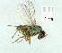  ( - gvc12104-1L)  @12 [ ] Copyright (2004) Unspecified Unspecified