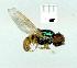  ( - gvc12107-1L)  @12 [ ] Copyright (2004) Unspecified Unspecified