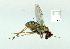  ( - gvc12204-1L)  @13 [ ] Copyright (2004) Unspecified Unspecified