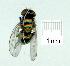  ( - gvc12253-1L)  @12 [ ] Copyright (2004) Unspecified Unspecified