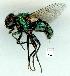  ( - gvc12296-1L)  @12 [ ] Copyright (2004) Unspecified Unspecified