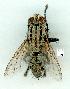  ( - gvc12378-1L)  @13 [ ] Copyright (2004) Unspecified Unspecified