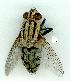  ( - gvc12496-1L)  @13 [ ] Copyright (2004) Unspecified Unspecified