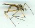  ( - gvc12647-1L)  @13 [ ] Copyright (2004) Unspecified Unspecified
