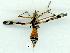  ( - gvc12649-1L)  @14 [ ] Copyright (2004) Unspecified Unspecified