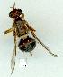  ( - gvc12793-1L)  @12 [ ] Copyright (2004) Unspecified Unspecified
