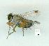  ( - gvc12893-1L)  @13 [ ] Copyright (2004) Unspecified Unspecified