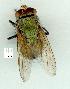  ( - gvc12925-1L)  @13 [ ] Copyright (2004) Unspecified Unspecified