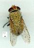  ( - gvc12929-1L)  @13 [ ] Copyright (2004) Unspecified Unspecified