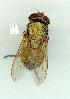  ( - gvc13048-1L)  @13 [ ] Copyright (2004) Unspecified Unspecified