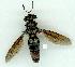  ( - gvc13407-1L)  @12 [ ] Copyright (2004) Unspecified Unspecified
