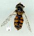  ( - gvc13516-1L)  @13 [ ] Copyright (2004) Unspecified Unspecified