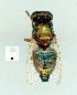  ( - gvc13749-1L)  @12 [ ] Copyright (2004) Unspecified Unspecified