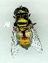  ( - gvc13750-1L)  @13 [ ] Copyright (2004) Unspecified Unspecified