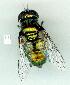  ( - gvc13757-1L)  @13 [ ] Copyright (2004) Unspecified Unspecified