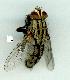  ( - gvc13765-1L)  @12 [ ] Copyright (2004) Unspecified Unspecified