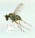  ( - gvc13921-1L)  @12 [ ] Copyright (2004) Unspecified Unspecified