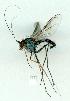  ( - gvc13987-1L)  @12 [ ] Copyright (2004) Unspecified Unspecified