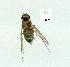  ( - gvc13988-1L)  @12 [ ] Copyright (2004) Unspecified Unspecified