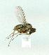  ( - gvc13989-1L)  @13 [ ] Copyright (2004) Unspecified Unspecified