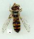  ( - gvc14028-1L)  @12 [ ] Copyright (2004) Unspecified Unspecified