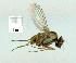  ( - gvc14079-1L)  @13 [ ] Copyright (2004) Unspecified Unspecified