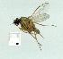  ( - gvc14080-1L)  @12 [ ] Copyright (2004) Unspecified Unspecified