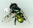  ( - gvc14096-1L)  @13 [ ] Copyright (2004) Unspecified Unspecified