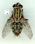  ( - gvc14270-1L)  @13 [ ] Copyright (2004) Unspecified Unspecified