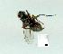  ( - gvc14395-1L)  @12 [ ] Copyright (2004) Unspecified Unspecified