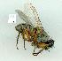  ( - gvc14495-1L)  @13 [ ] Copyright (2004) Unspecified Unspecified