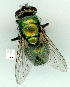  ( - gvc9494-1L)  @12 [ ] Copyright (2004) Unspecified Unspecified