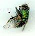  ( - gvc9497-1L)  @12 [ ] Copyright (2004) Unspecified Unspecified