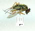  ( - gvc9512-1L)  @12 [ ] Copyright (2004) Unspecified Unspecified