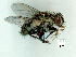  ( - gvc9516-1L)  @13 [ ] Copyright (2004) Unspecified Unspecified