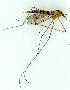 ( - gvc9541-1L)  @12 [ ] Copyright (2004) Unspecified Unspecified