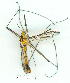  ( - gvc9550-1L)  @12 [ ] Copyright (2004) Unspecified Unspecified