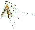  ( - gvc9568-1L)  @13 [ ] Copyright (2004) Unspecified Unspecified