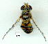  ( - gvc9639-1L)  @12 [ ] Copyright (2004) Unspecified Unspecified