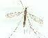  ( - gvc9658-1L)  @12 [ ] Copyright (2004) Unspecified Unspecified